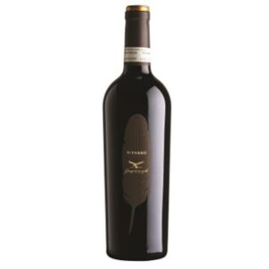 VALPOLICELLA RIPASSO CLASSICO SUPERIORE DOC